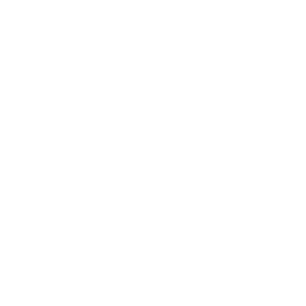 bethesda-game-studios-logo-white