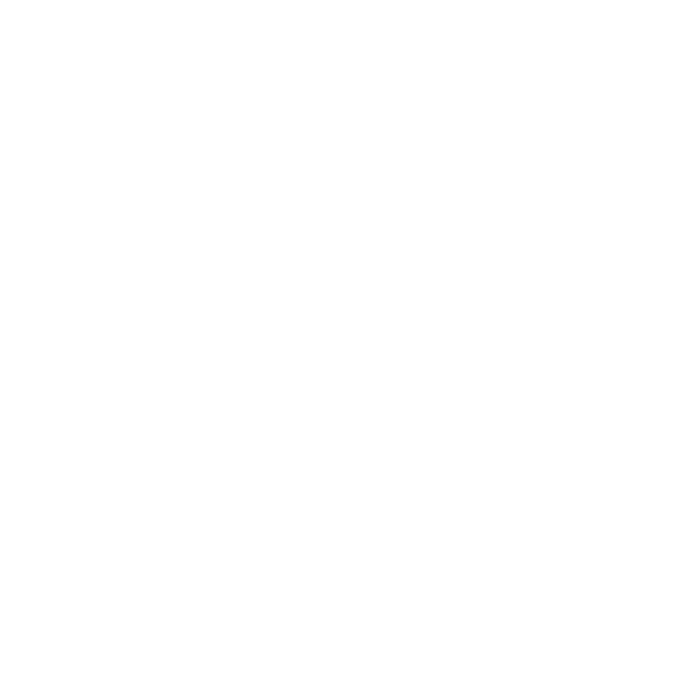 walt-disney-records-logo-white